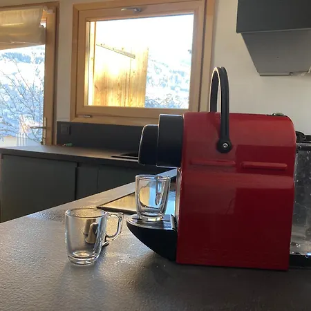 Renovated Flat Facing Mont Blanc Appartement