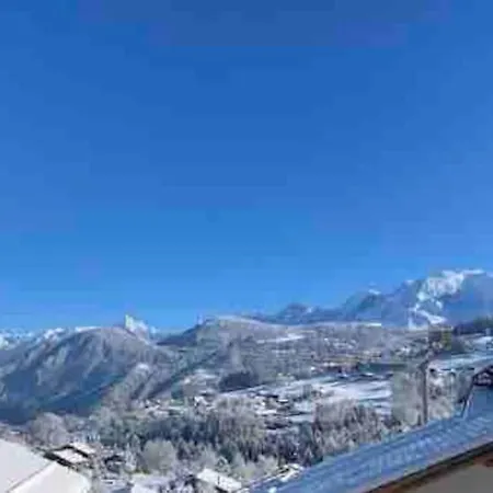 Renovated Flat Facing Mont Blanc 아파트 *