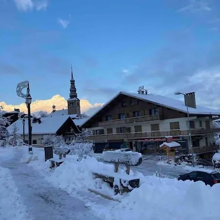 Apartment Renovated Flat Facing Mont Blanc *