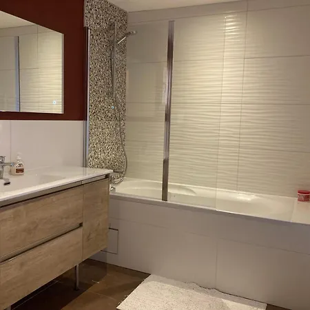 Spacious Flat Facing Mont Blanc *