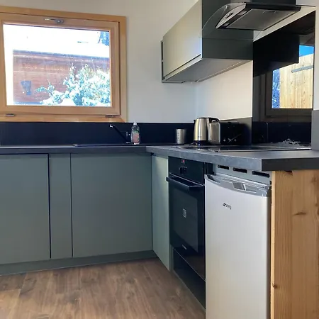 Spacious Flat Facing Mont Blanc 孔布卢