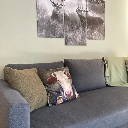 Renovated Flat Facing Mont Blanc Apartment Combloux