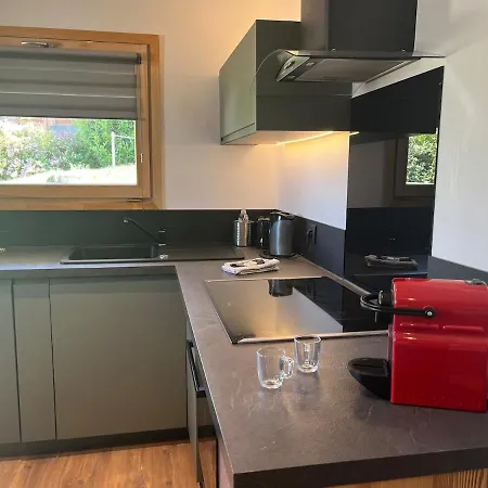Apartmán Spacious Flat Facing Mont Blanc
