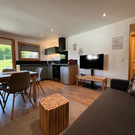 Spacious Flat Facing Mont Blanc