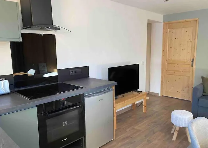 Renovated Flat Facing Mont Blanc Combloux