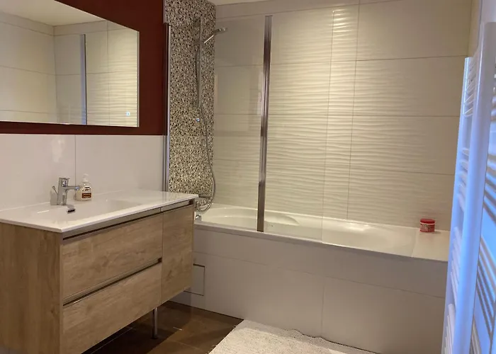 Renovated Flat Facing Mont Blanc *