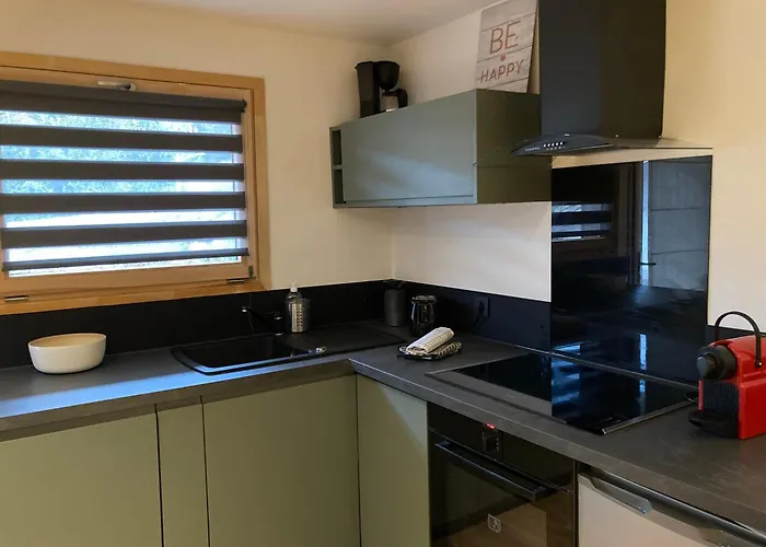 公寓 Renovated Flat Facing Mont Blanc