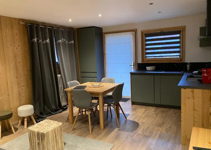 Renovated Flat Facing Mont Blanc 公寓 *