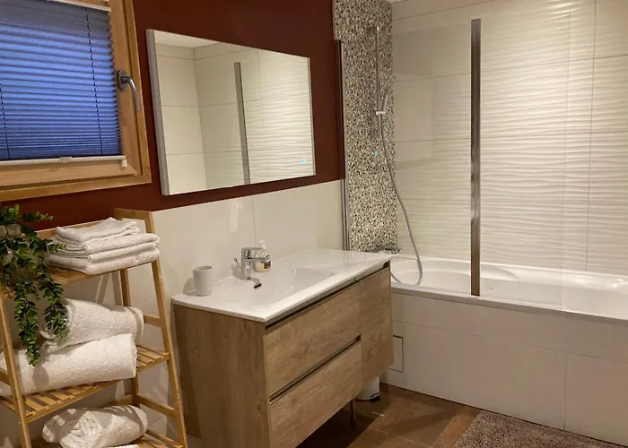 公寓 Renovated Flat Facing Mont Blanc 孔布卢