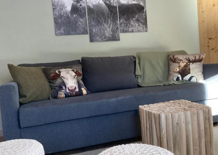 Renovated Flat Facing Mont Blanc 孔布卢